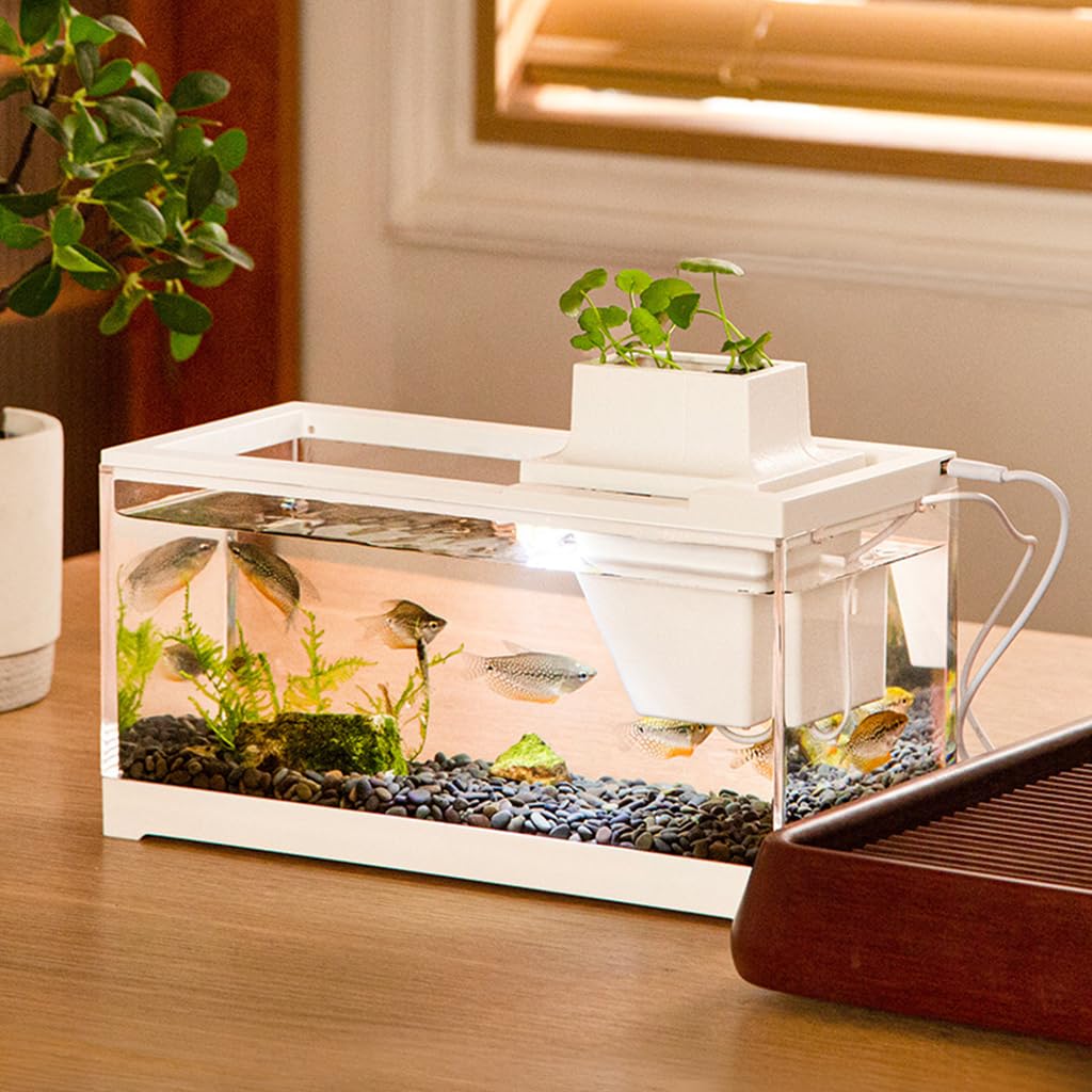 Qpets Mini Desktop Fish Tank with LED, Household Aquarium Betta Fish Tank Open Top Desktop Fish Tank, Small Mute Filter Fish Breeding Box with Air Pump - 30X13X15CM Qpets Mini Desktop Fish Tank with LED, Household Aquarium Betta Fish Tank Open Top Desktop Fish Tank, Small Mute Filter Fish Breeding Box with Air Pump - 30X13X15CM